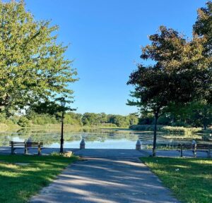 Baisley Pond Park Picture