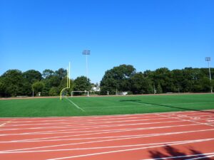 Roy Wilkins Park Picture